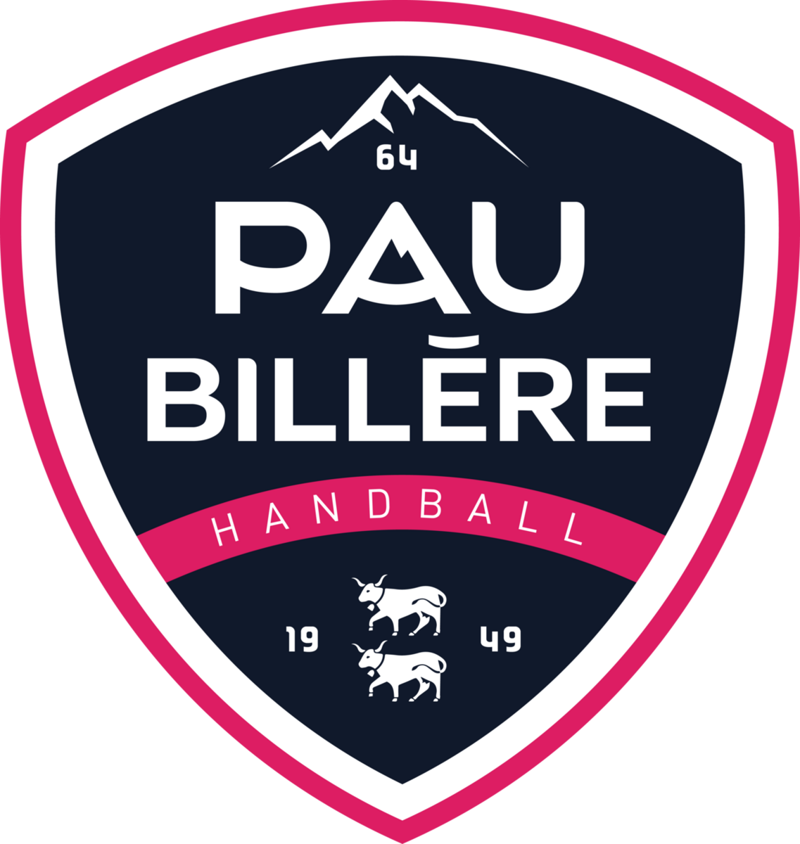 Places Match Pau Billère Handball - Dijon