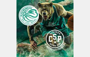 Places Matchs Elan Bearnais - Limoges